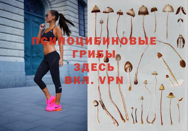 ПСИЛОЦИБИНОВЫЕ ГРИБЫ Аркадак
