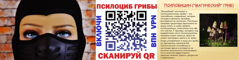 Псилоцибиновые грибы Cubensis что такое наркотик Белая Калитва